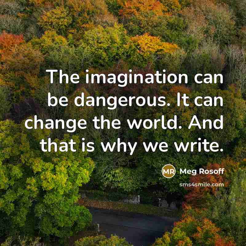 “The imagination can be dangerous. It can change the world. And that is why we write.” quote by Meg Rosoff