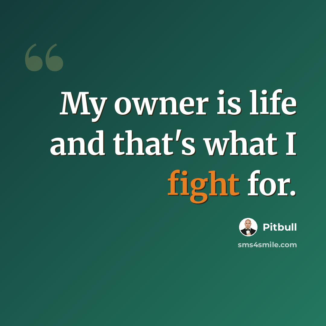 “My owner is life and that's what I fight for.” quote by Pitbull