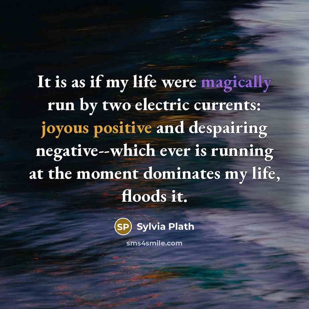“It is as if my life were magically run by two electric currents: joyous positive and despairing negative--which ever is running at the moment dominates my life, floods it.” quote by Sylvia Plath