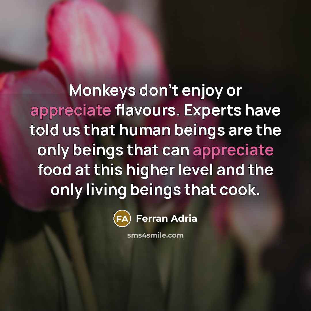 “Monkeys don't enjoy or appreciate flavours. Experts have told us that human beings are the only beings that can appreciate food at this higher level and the only living beings that cook.” quote by Ferran Adria