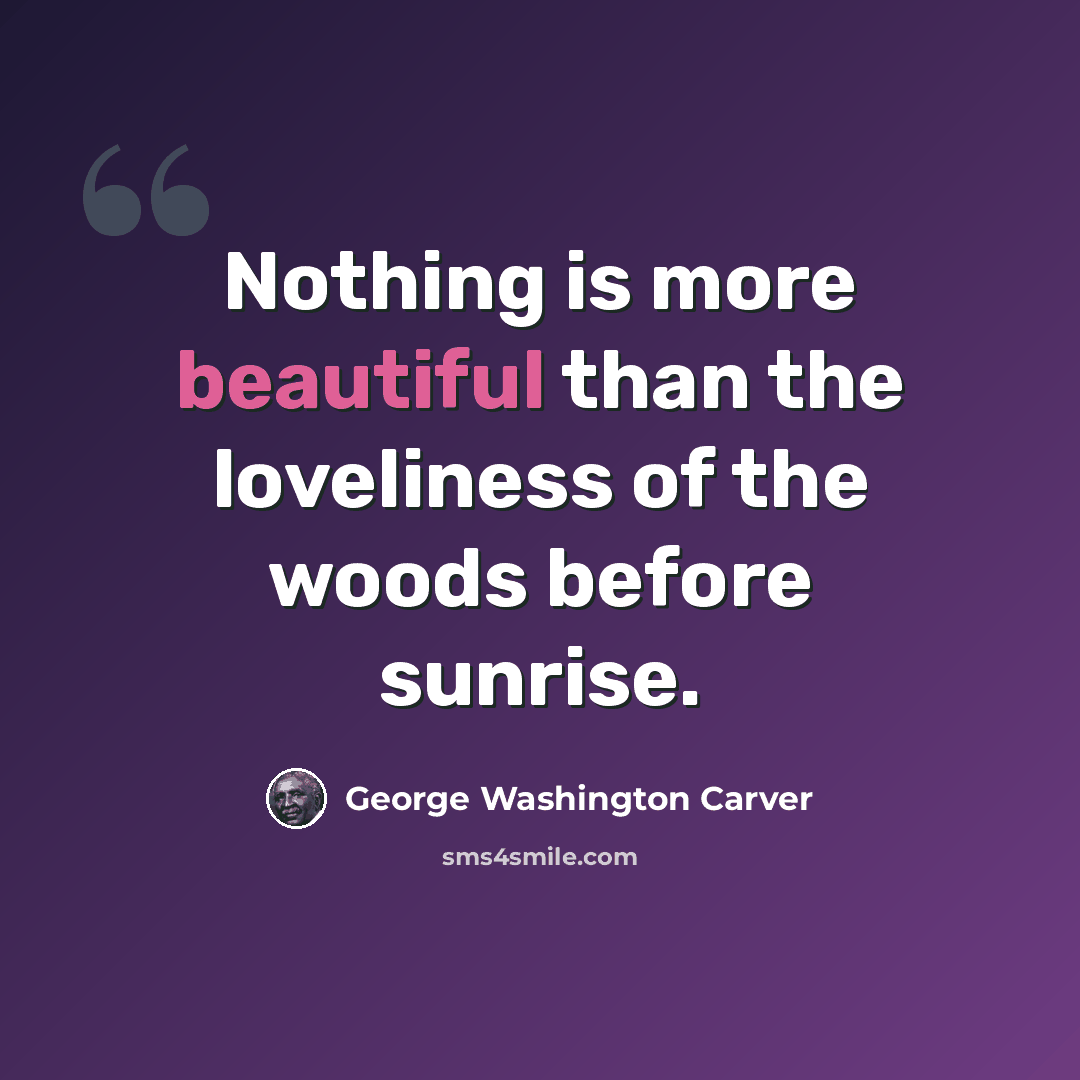 “Nothing is more beautiful than the loveliness of the woods before sunrise.” quote by George Washington Carver