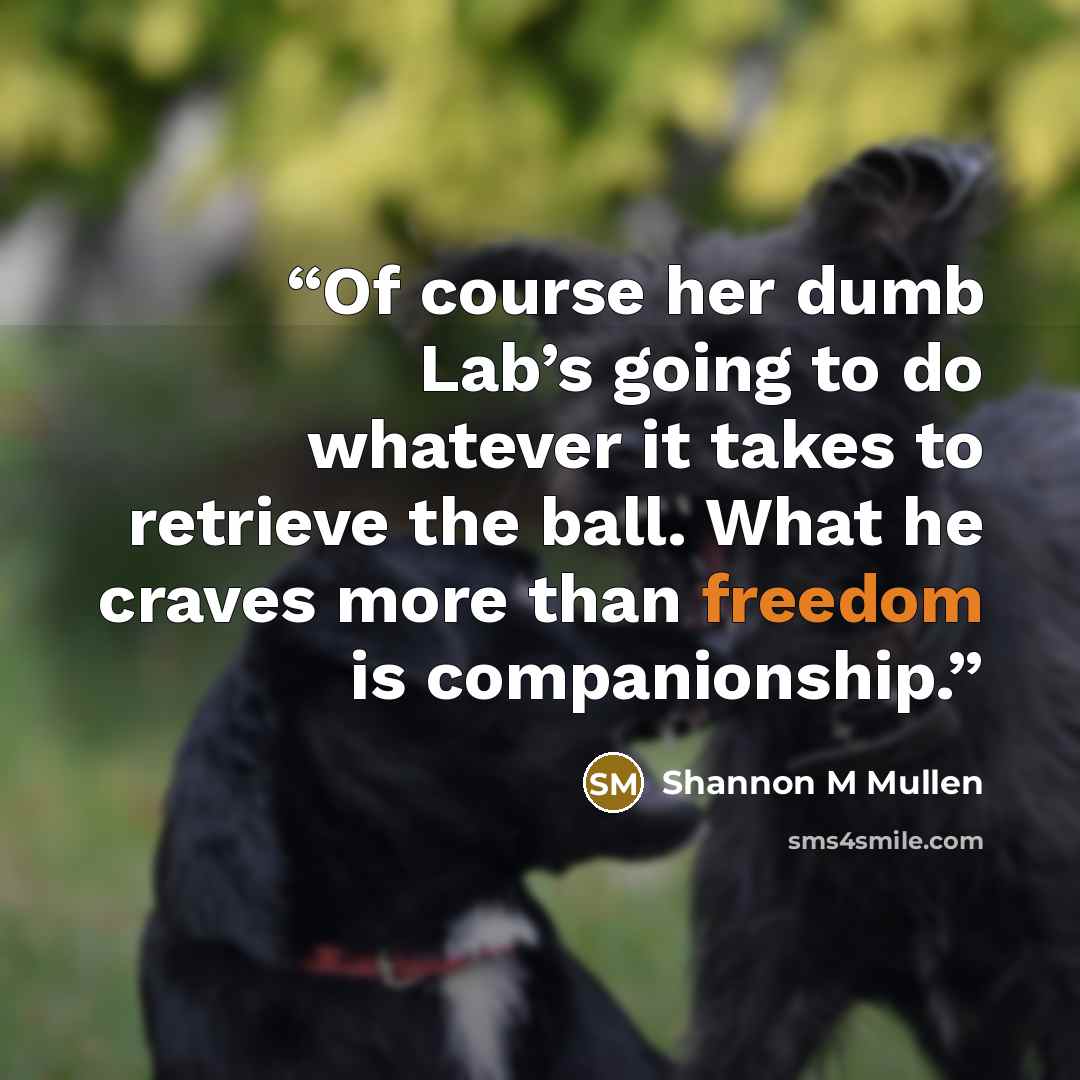 “Of course her dumb Lab’s going to do whatever it takes to retrieve the ball. What he craves more than freedom is companionship.” quote by Shannon M Mullen