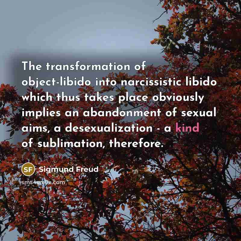 “The transformation of object-libido into narcissistic libido which thus takes place obviously implies an abandonment of sexual aims, a desexualization - a kind of sublimation, therefore.” quote by Sigmund Freud