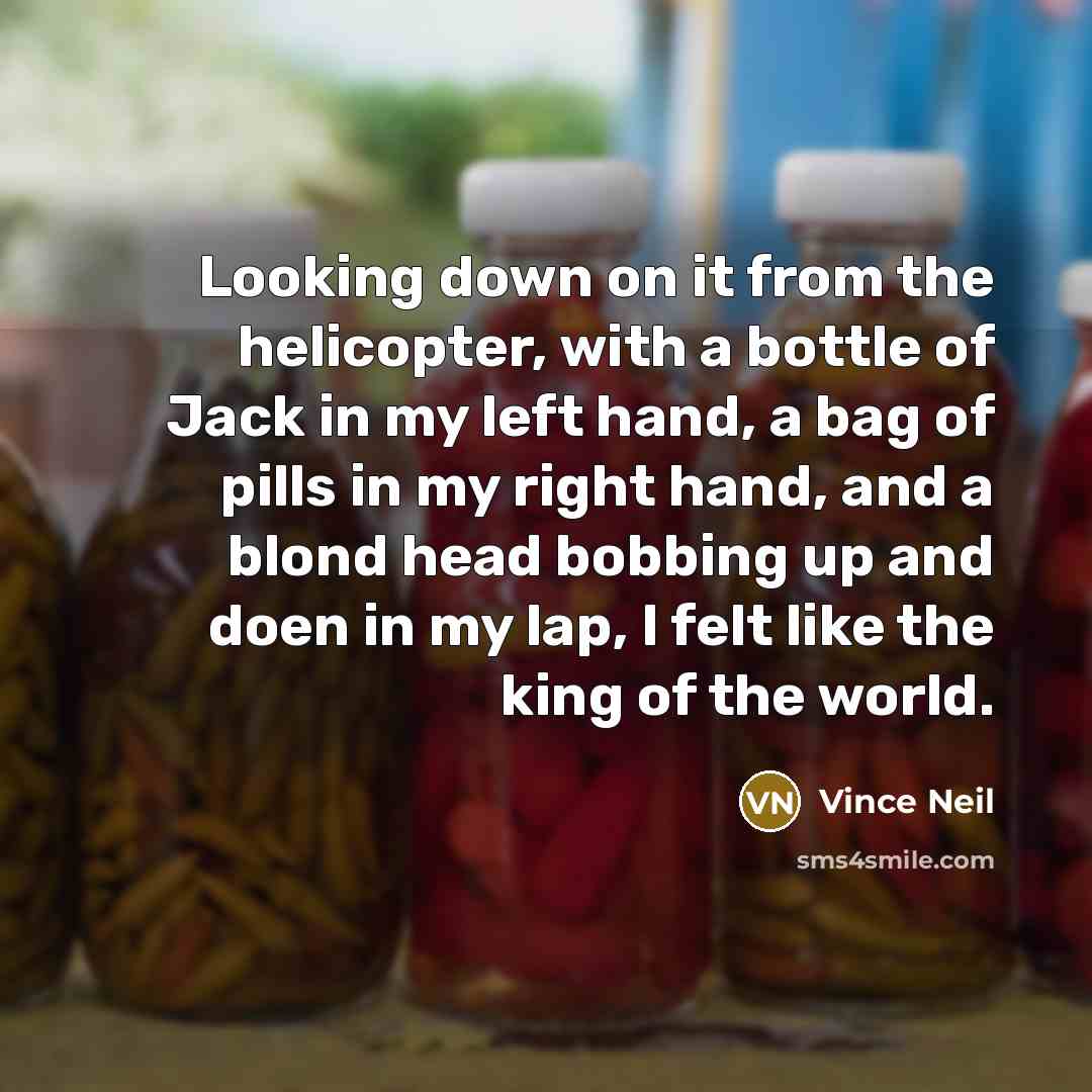 “Looking down on it from the helicopter, with a bottle of Jack in my left hand, a bag of pills in my right hand, and a blond head bobbing up and doen in my lap, I felt like the king of the world.” quote by Vince Neil