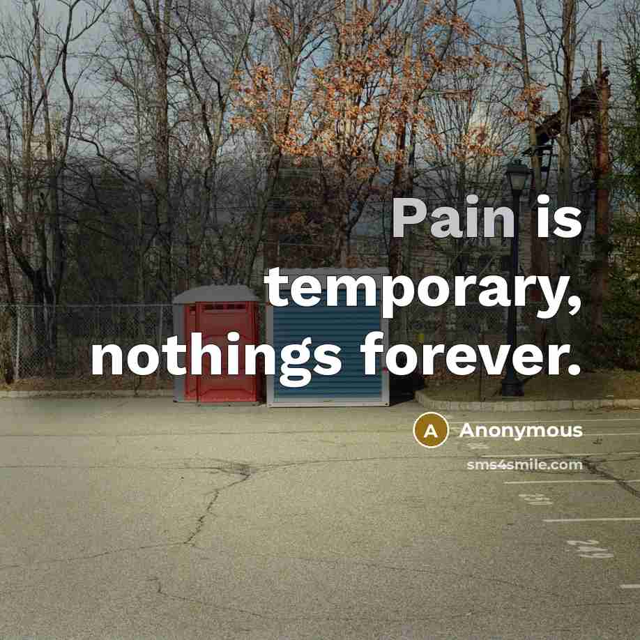 “Pain is temporary, nothings forever.” quote by Anonymous