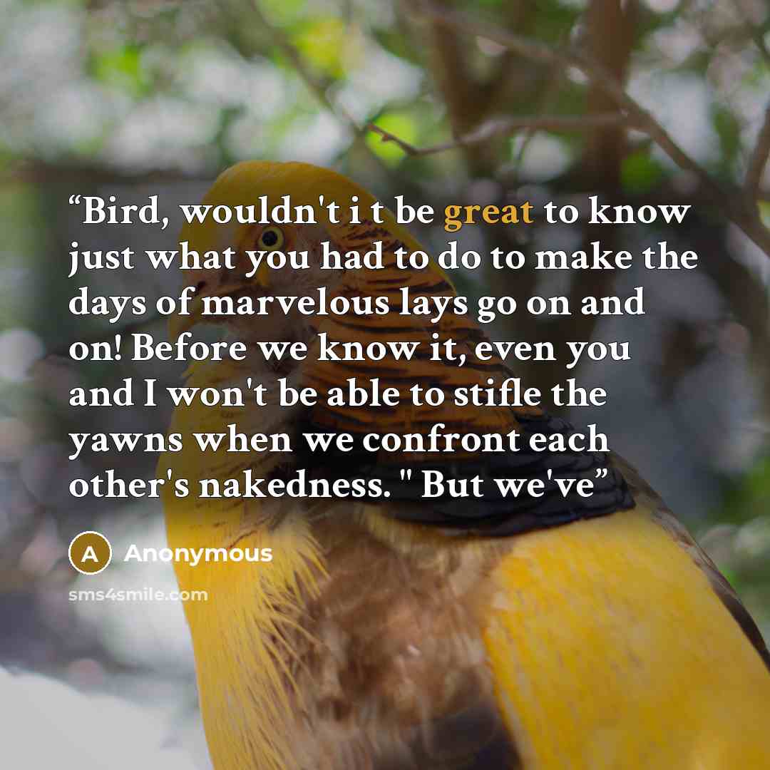 “Bird, wouldn't i t be great to know just what you had to do to make the days of marvelous lays go on and on! Before we know it, even you and I won't be able to stifle the yawns when we confront each other's nakedness. " But we've” quote by Anonymous