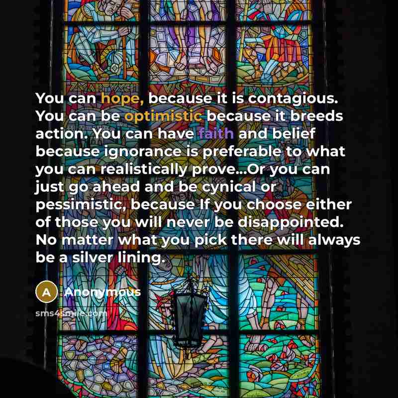 “You can hope, because it is contagious. You can be optimistic because it breeds action. You can have faith and belief because ignorance is preferable to what you can realistically prove...Or you can just go ahead and be cynical or pessimistic, because If you choose either of those you will never…” quote by Anonymous