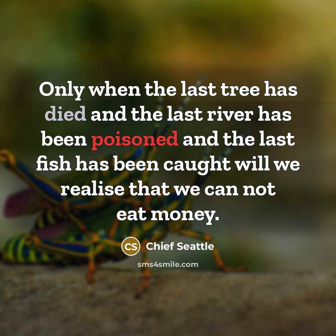 “Only when the last tree has died and the last river has been poisoned and the last fish has been caught will we realise that we can not eat money.” quote by Chief Seattle