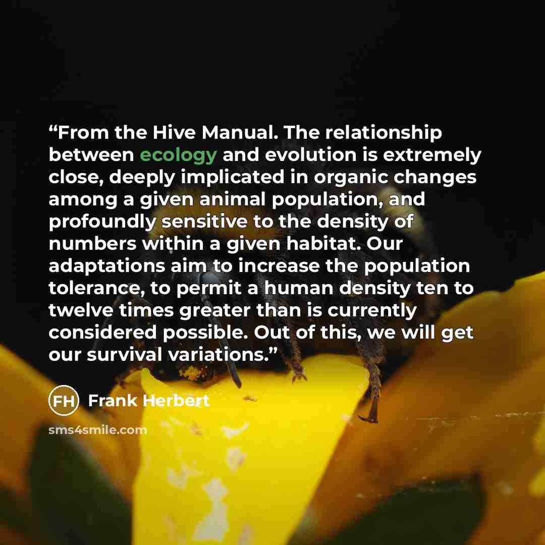“From the Hive Manual. The relationship between ecology and evolution is extremely close, deeply implicated in organic changes among a given animal population, and profoundly sensitive to the density of numbers within a given habitat. Our adaptations aim to increase the population tolerance, to…” quote by Frank Herbert