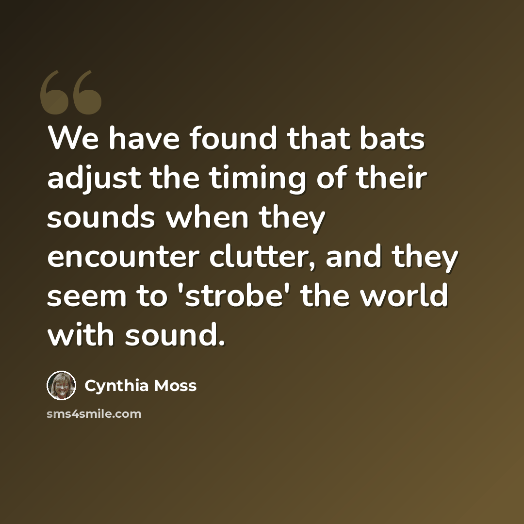 “We have found that bats adjust the timing of their sounds when they encounter clutter, and they seem to 'strobe' the world with sound.” quote by Cynthia Moss