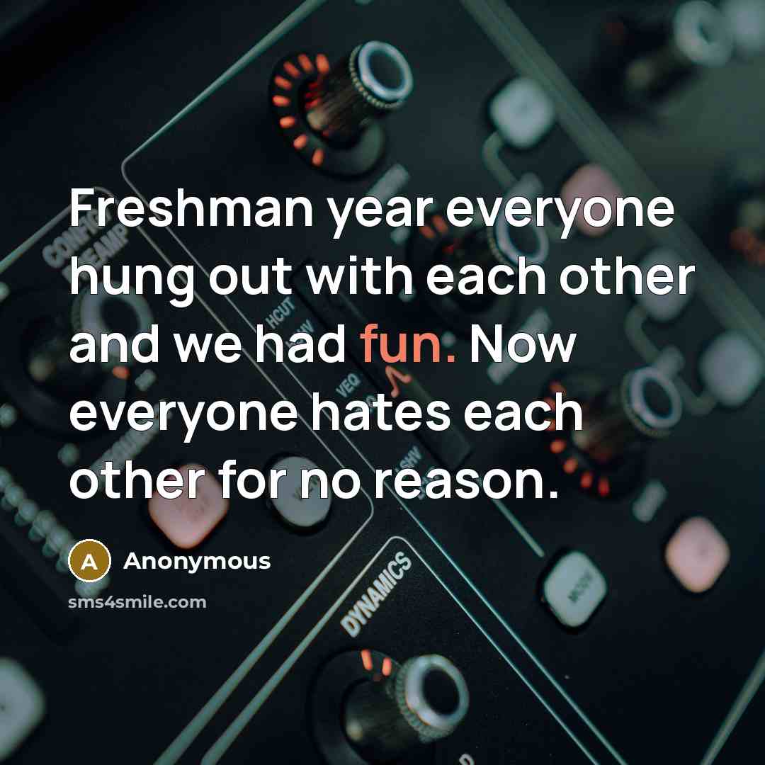 “Freshman year everyone hung out with each other and we had fun. Now everyone hates each other for no reason.” quote by Anonymous