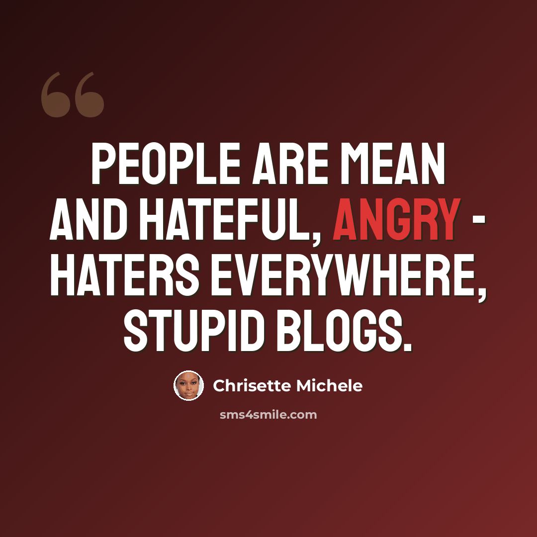 “People are mean and hateful, angry - haters everywhere, stupid blogs.” quote by Chrisette Michele