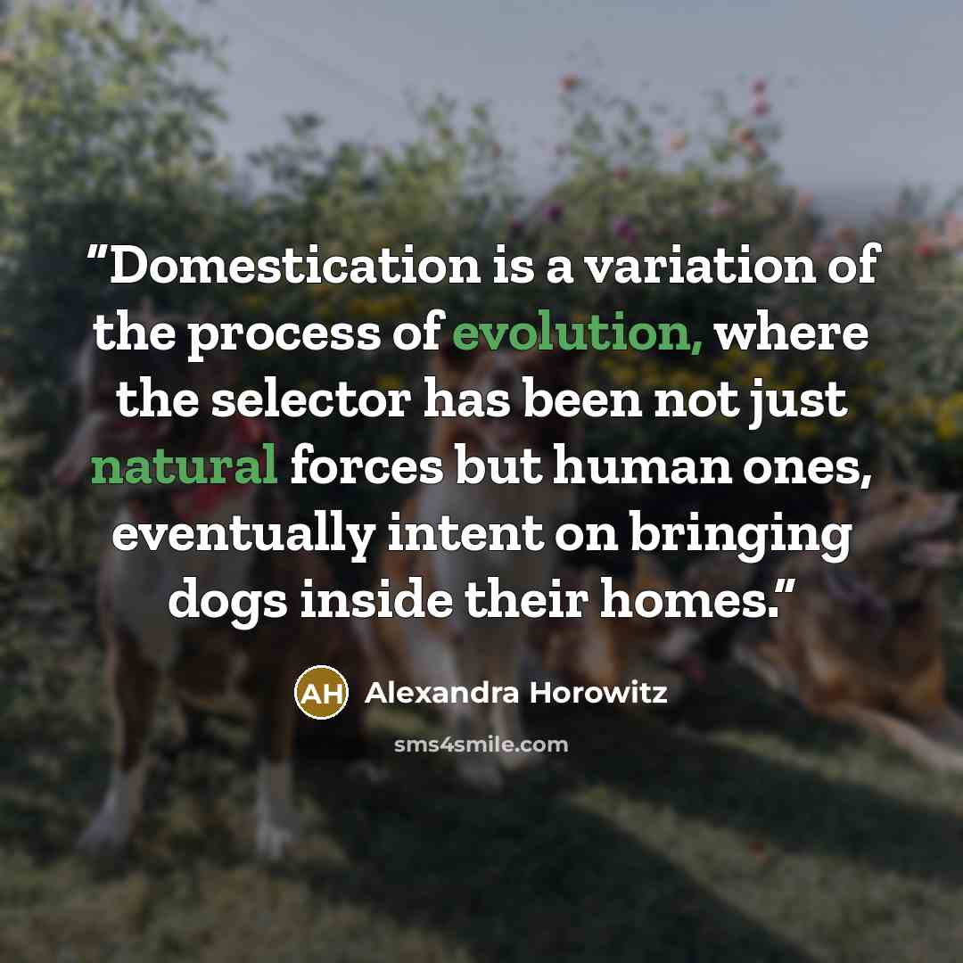 “Domestication is a variation of the process of evolution, where the selector has been not just natural forces but human ones, eventually intent on bringing dogs inside their homes.” quote by Alexandra Horowitz