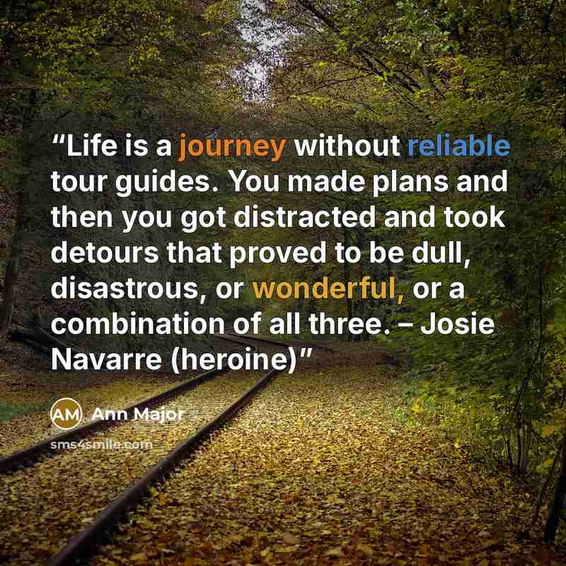 “Life is a journey without reliable tour guides. You made plans and then you got distracted and took detours that proved to be dull, disastrous, or wonderful, or a combination of all three. – Josie Navarre (heroine)” quote by Ann Major