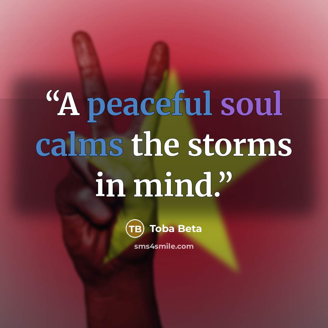 “A peaceful soul calms the storms in mind.” quote by Toba Beta