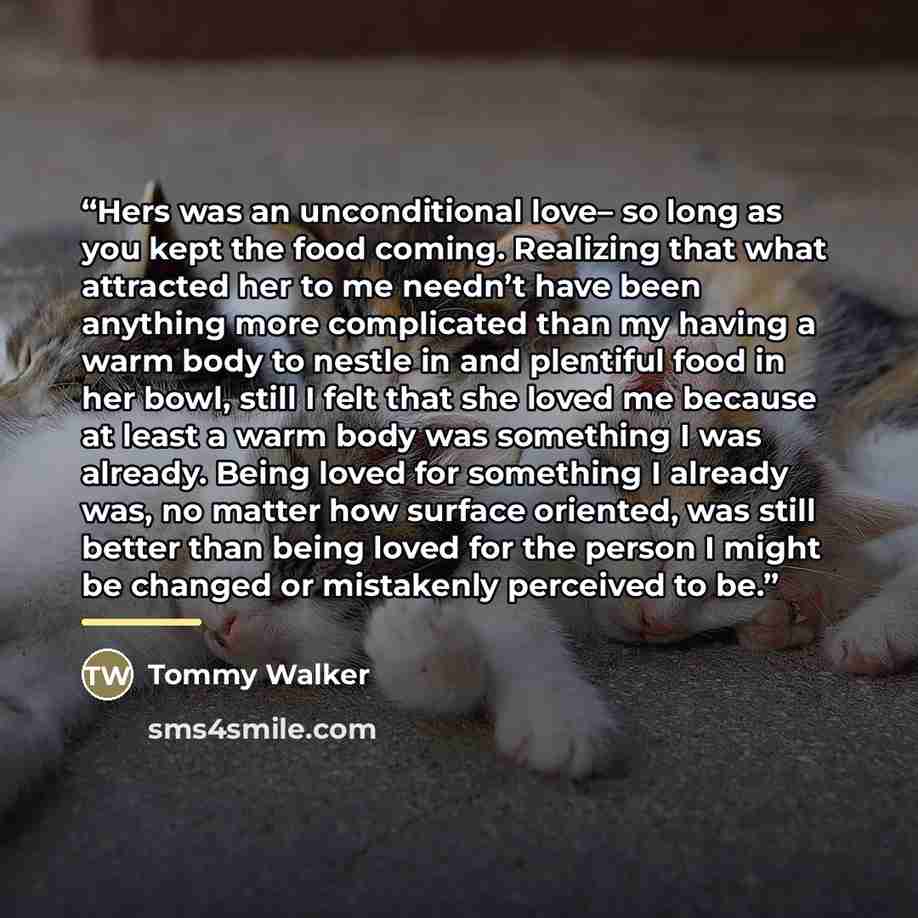 “Hers was an unconditional love– so long as you kept the food coming. Realizing that what attracted her to me needn’t have been anything more complicated than my having a warm body to nestle in and plentiful food in her bowl, still I felt that she loved me because at least a warm body was something…” quote by Tommy Walker