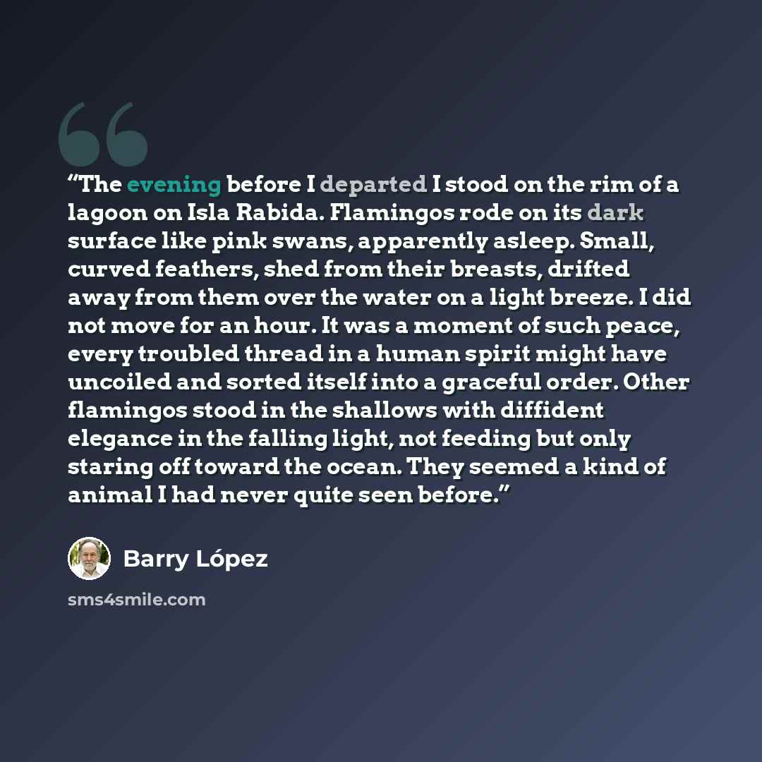 “The evening before I departed I stood on the rim of a lagoon on Isla Rabida. Flamingos rode on its dark surface like pink swans, apparently asleep. Small, curved feathers, shed from their breasts, drifted away from them over the water on a light breeze. I did not move for an hour. It was a moment…” quote by Barry Lopez