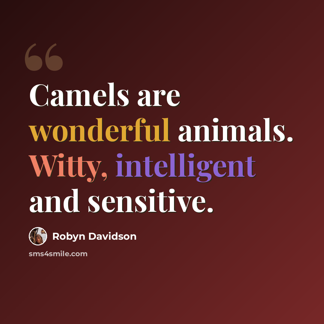 “Camels are wonderful animals. Witty, intelligent and sensitive.” quote by Robyn Davidson
