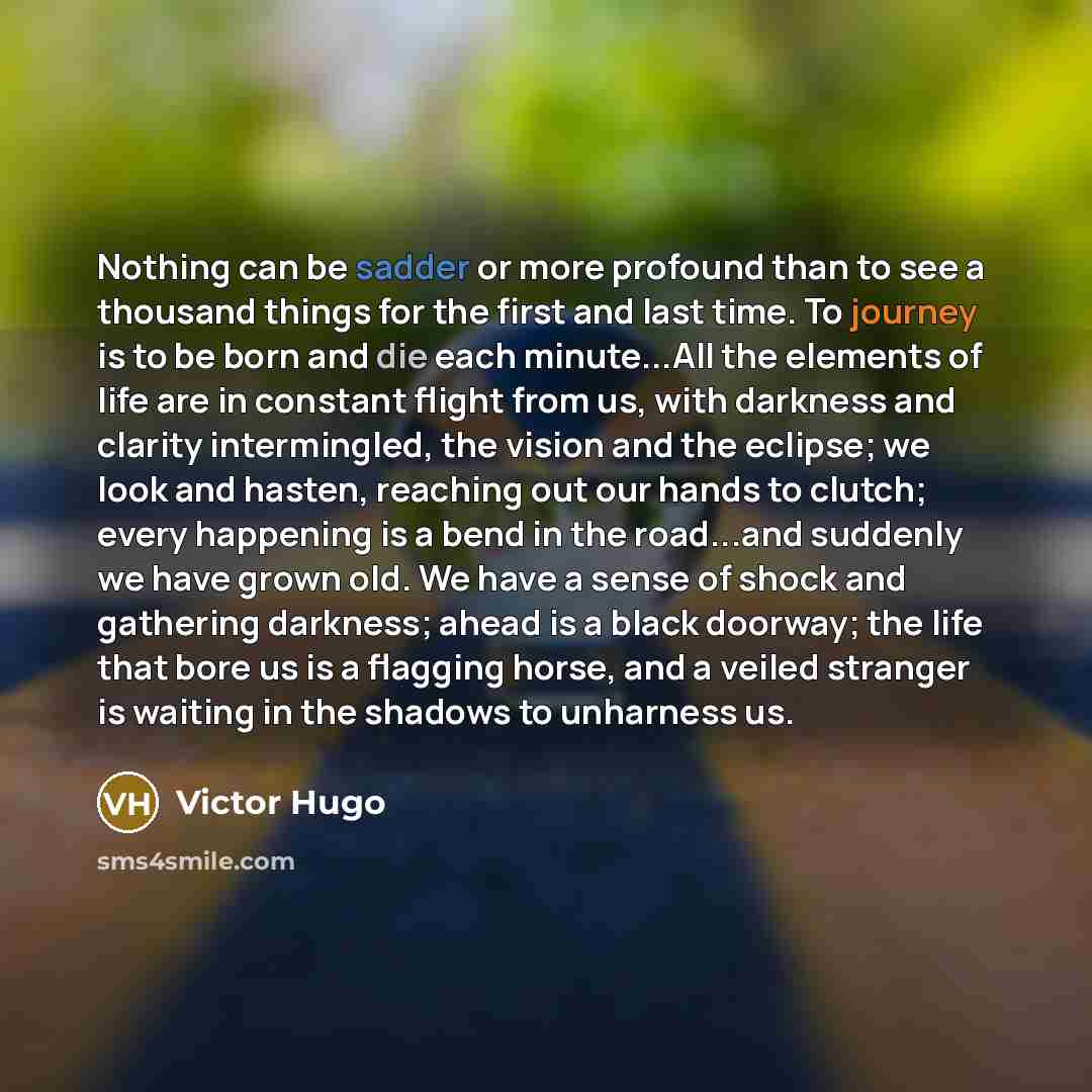 “Nothing can be sadder or more profound than to see a thousand things for the first and last time. To journey is to be born and die each minute...All the elements of life are in constant flight from us, with darkness and clarity intermingled, the vision and the eclipse; we look and hasten, reaching…” quote by Victor Hugo
