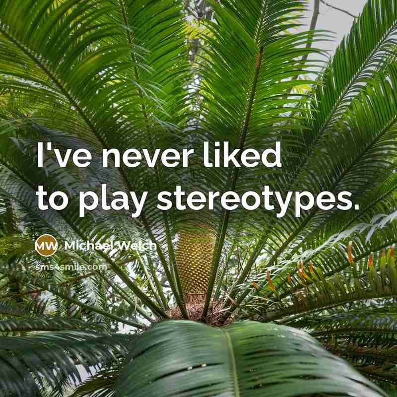 “I've never liked to play stereotypes.” quote by Michael Welch