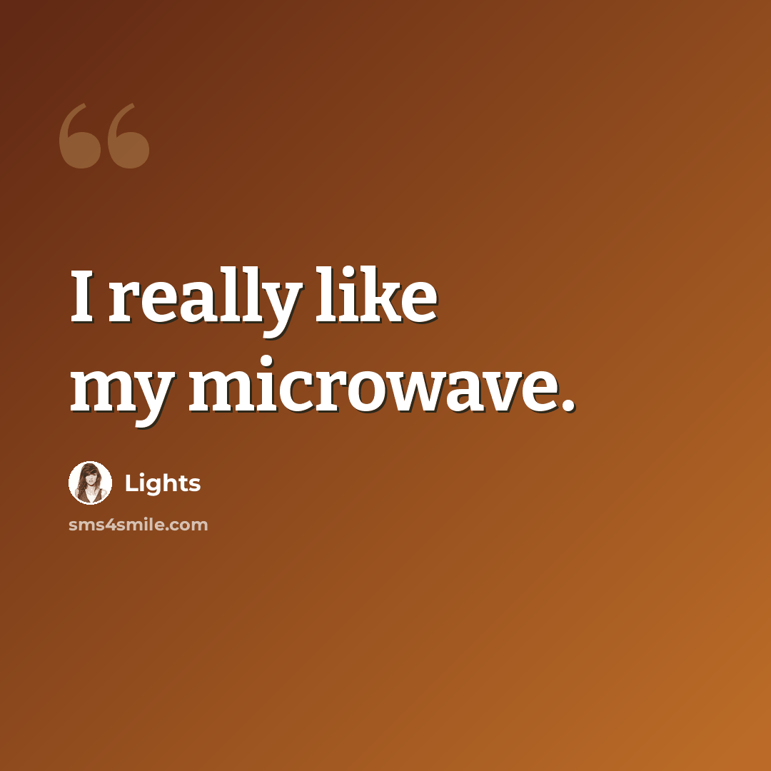 “I really like my microwave.” quote by Lights