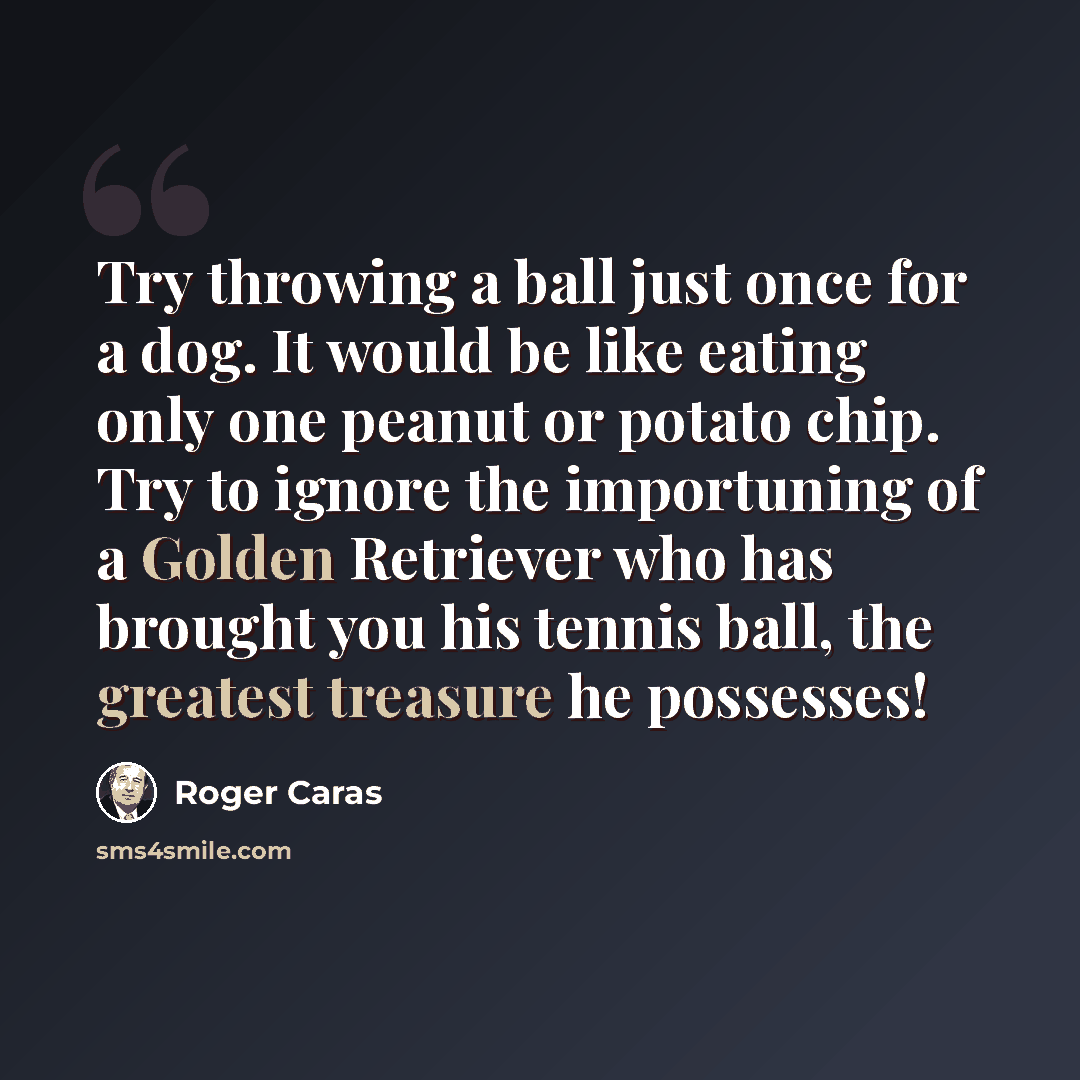 “Try throwing a ball just once for a dog. It would be like eating only one peanut or potato chip. Try to ignore the importuning of a Golden Retriever who has brought you his tennis ball, the greatest treasure he possesses!” quote by Roger Caras