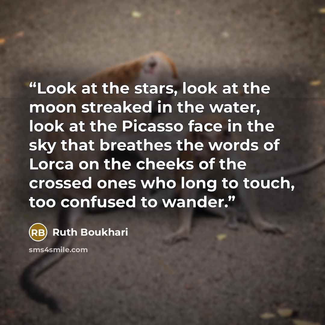 “Look at the stars, look at the moon streaked in the water, look at the Picasso face in the sky that breathes the words of Lorca on the cheeks of the crossed ones who long to touch, too confused to wander.” quote by Ruth Boukhari