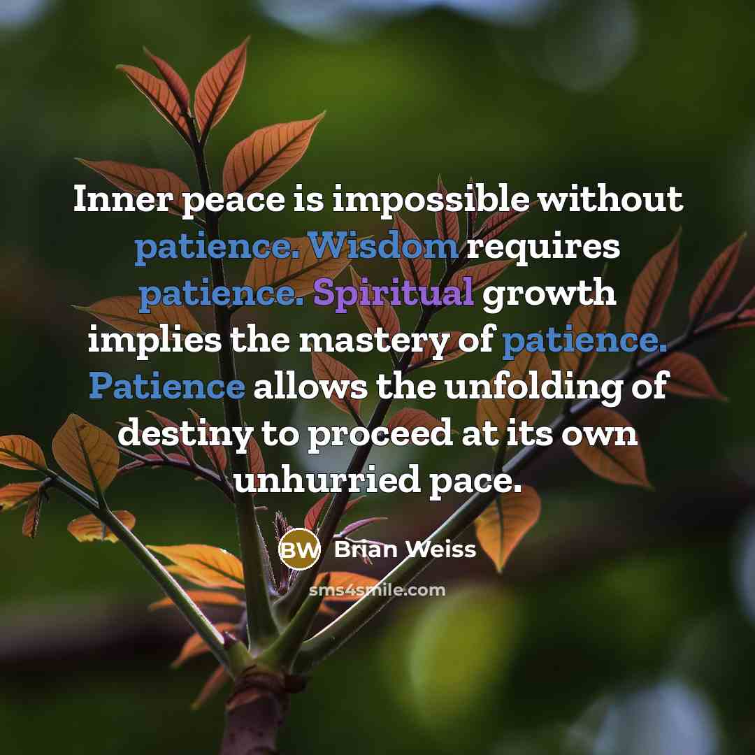 “Inner peace is impossible without patience. Wisdom requires patience. Spiritual growth implies the mastery of patience. Patience allows the unfolding of destiny to proceed at its own unhurried pace.” quote by Brian Weiss