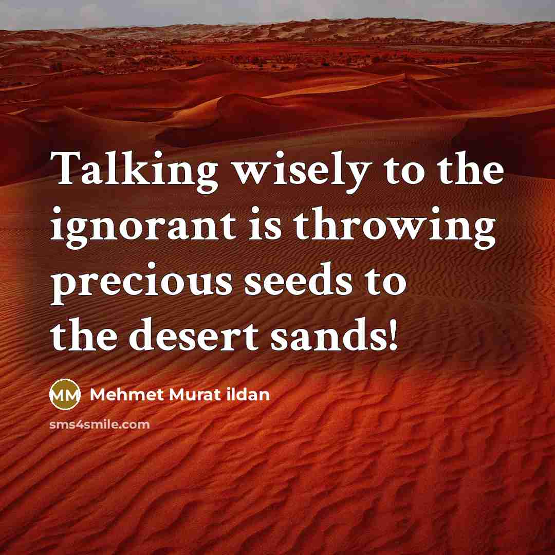 “Talking wisely to the ignorant is throwing precious seeds to the desert sands!” quote by Mehmet Murat Ildan