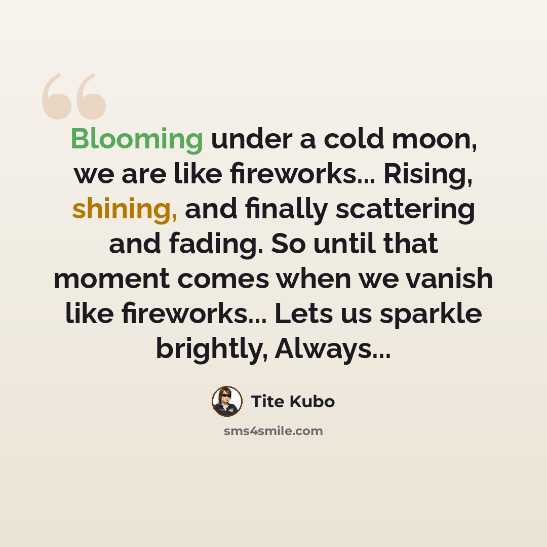 “Blooming under a cold moon, we are like fireworks... Rising, shining, and finally scattering and fading. So until that moment comes when we vanish like fireworks... Lets us sparkle brightly, Always...” quote by Tite Kubo