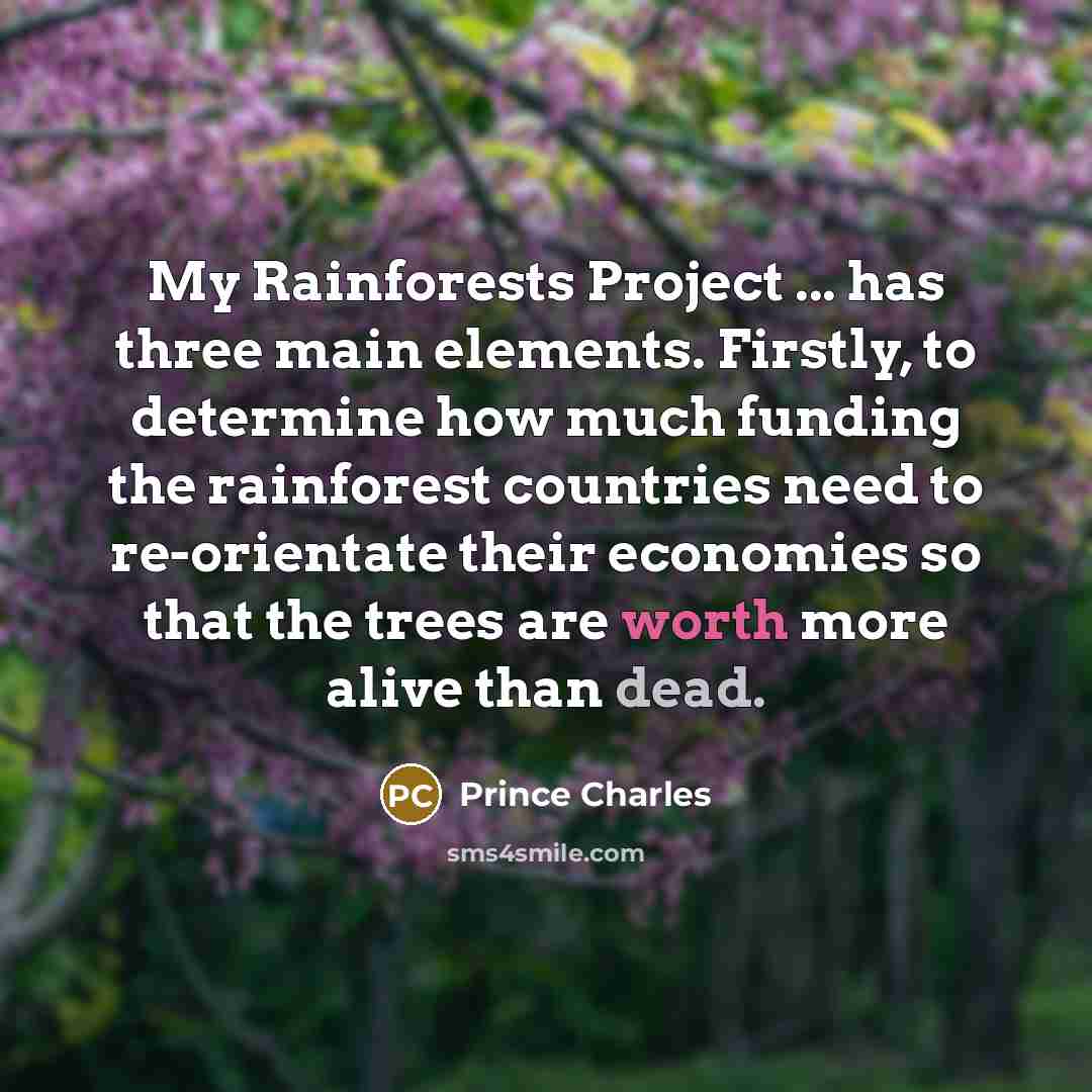 “My Rainforests Project ... has three main elements. Firstly, to determine how much funding the rainforest countries need to re-orientate their economies so that the trees are worth more alive than dead.” quote by Prince Charles