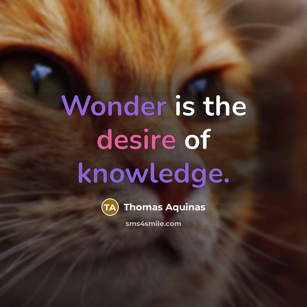 “Wonder is the desire of knowledge.” quote by Thomas Aquinas