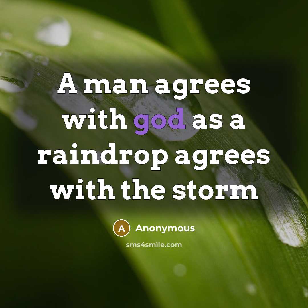 “A man agrees with god as a raindrop agrees with the storm” quote by Anonymous