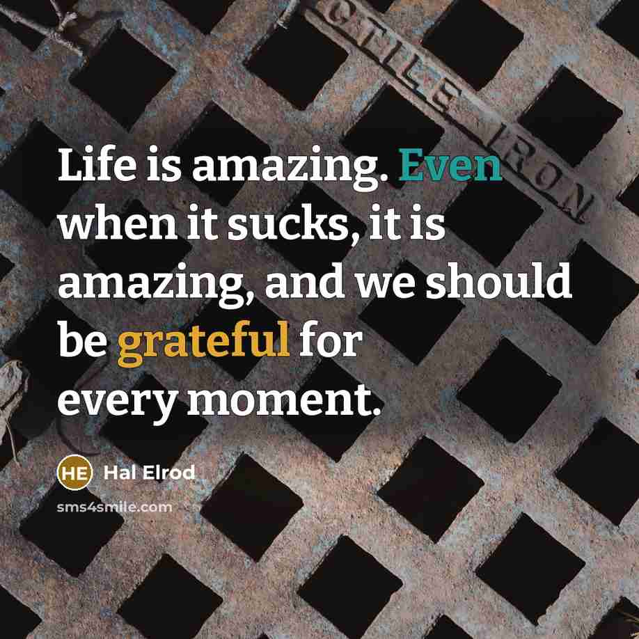 “Life is amazing. Even when it sucks, it is amazing, and we should be grateful for every moment.” quote by Hal Elrod