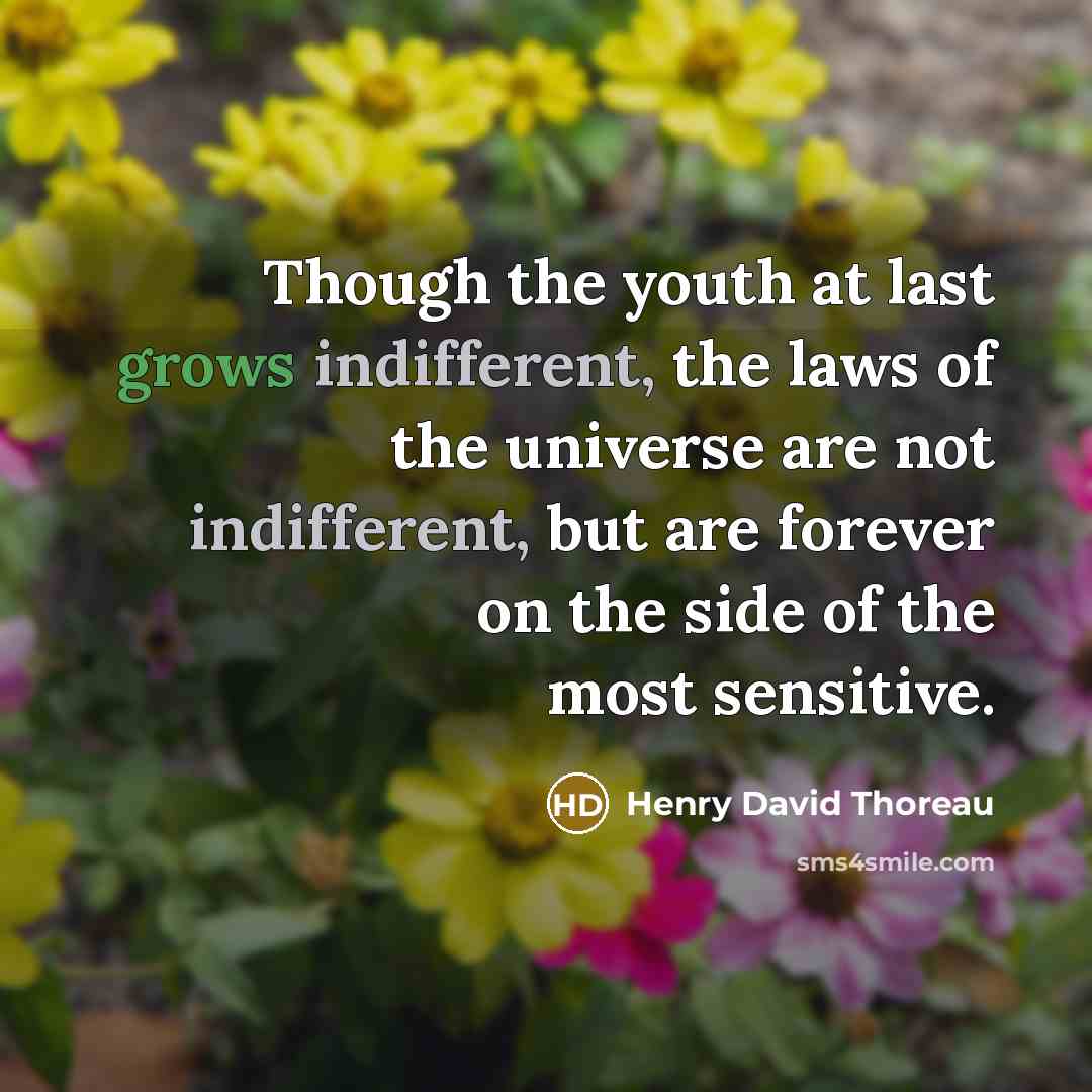 “Though the youth at last grows indifferent, the laws of the universe are not indifferent, but are forever on the side of the most sensitive.” quote by Henry David Thoreau