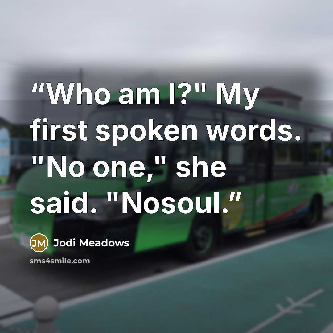 “Who am I?" My first spoken words. "No one," she said. "Nosoul.” quote by Jodi Meadows