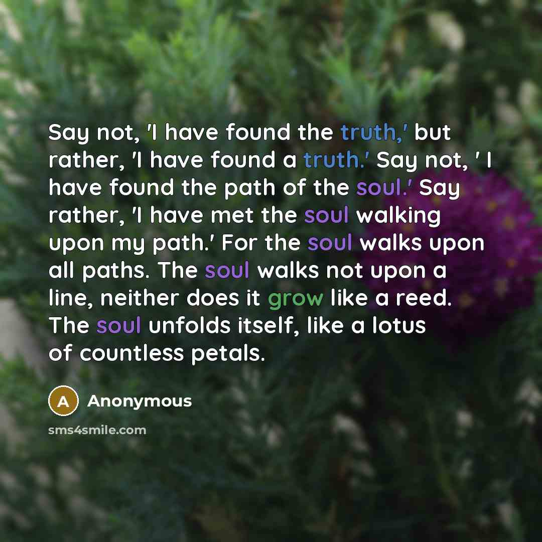 “Say not, 'I have found the truth,' but rather, 'I have found a truth.' Say not, ' I have found the path of the soul.' Say rather, 'I have met the soul walking upon my path.' For the soul walks upon all paths. The soul walks not upon a line, neither does it grow like a reed. The soul unfolds…” quote by Anonymous