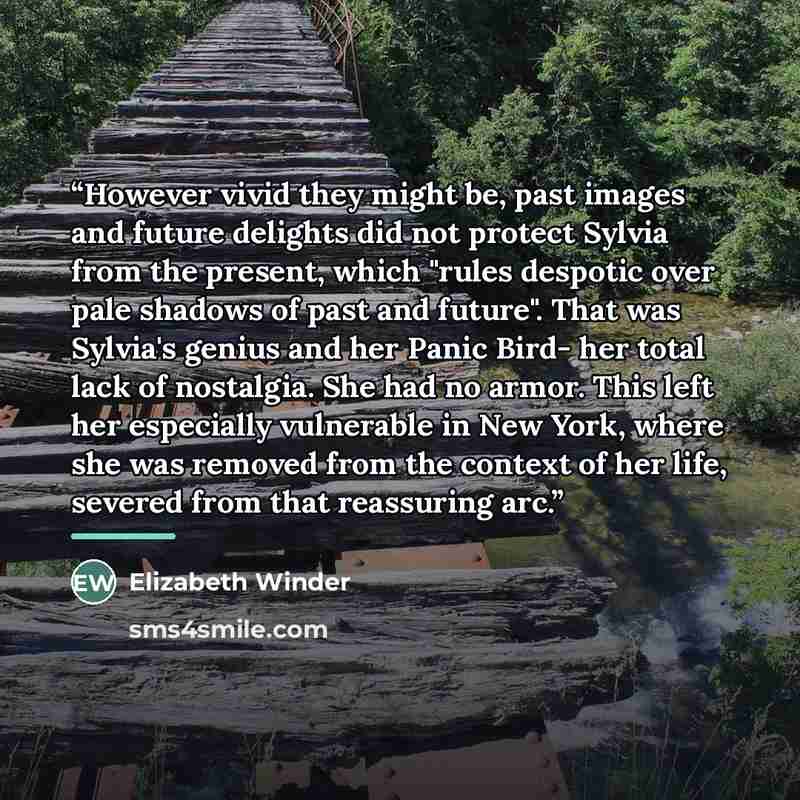 “However vivid they might be, past images and future delights did not protect Sylvia from the present, which "rules despotic over pale shadows of past and future". That was Sylvia's genius and her Panic Bird- her total lack of nostalgia. She had no armor. This left her especially vulnerable in New…” quote by Elizabeth Winder