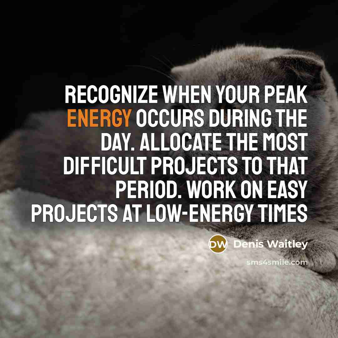 “Recognize when your peak energy occurs during the day. Allocate the most difficult projects to that period. Work on easy projects at low-energy times” quote by Denis Waitley