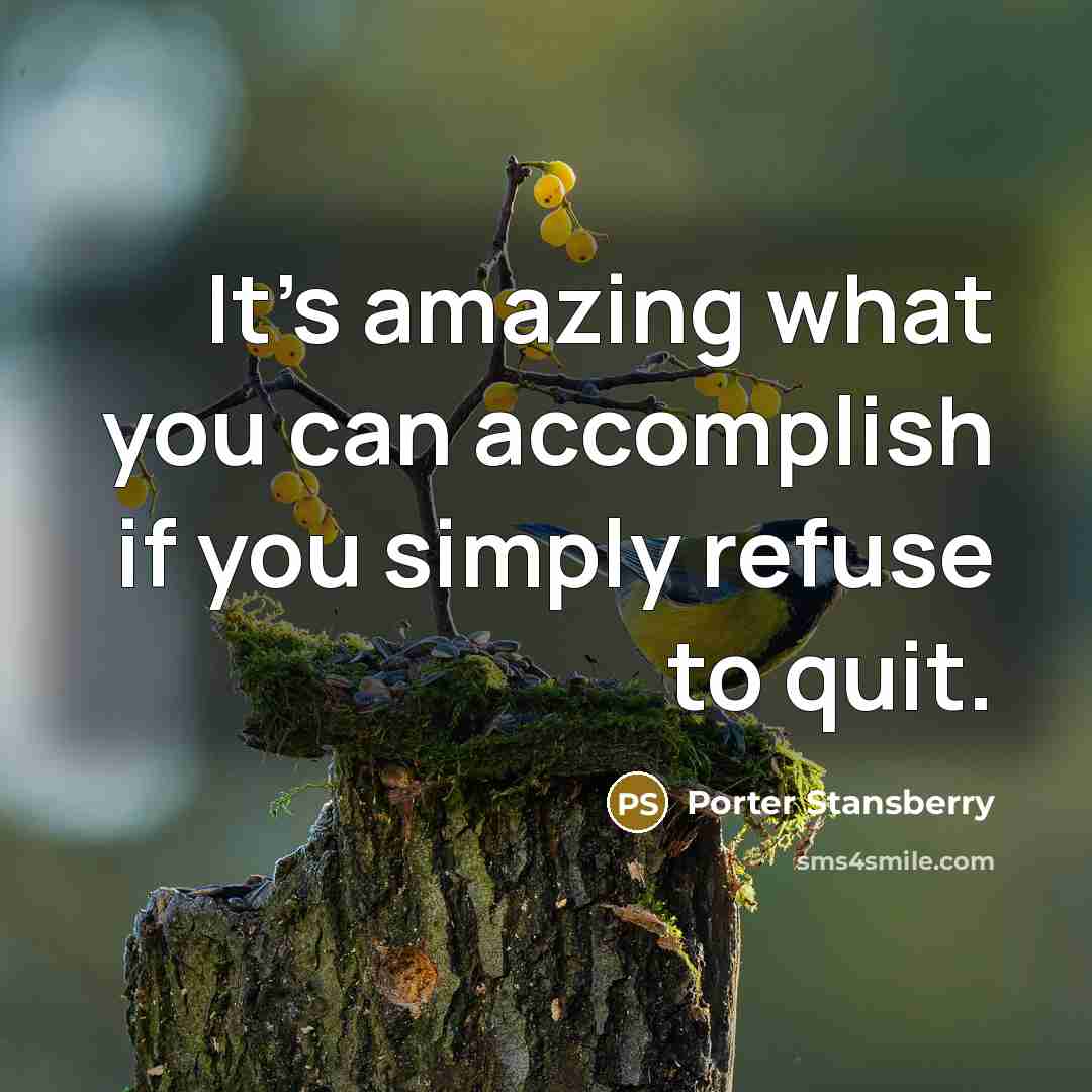 “It's amazing what you can accomplish if you simply refuse to quit.” quote by Porter Stansberry