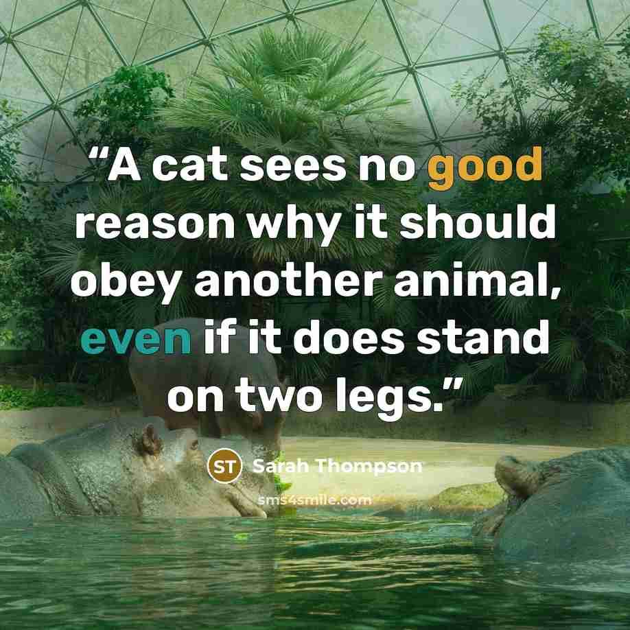 “A cat sees no good reason why it should obey another animal, even if it does stand on two legs.” quote by Sarah Thompson