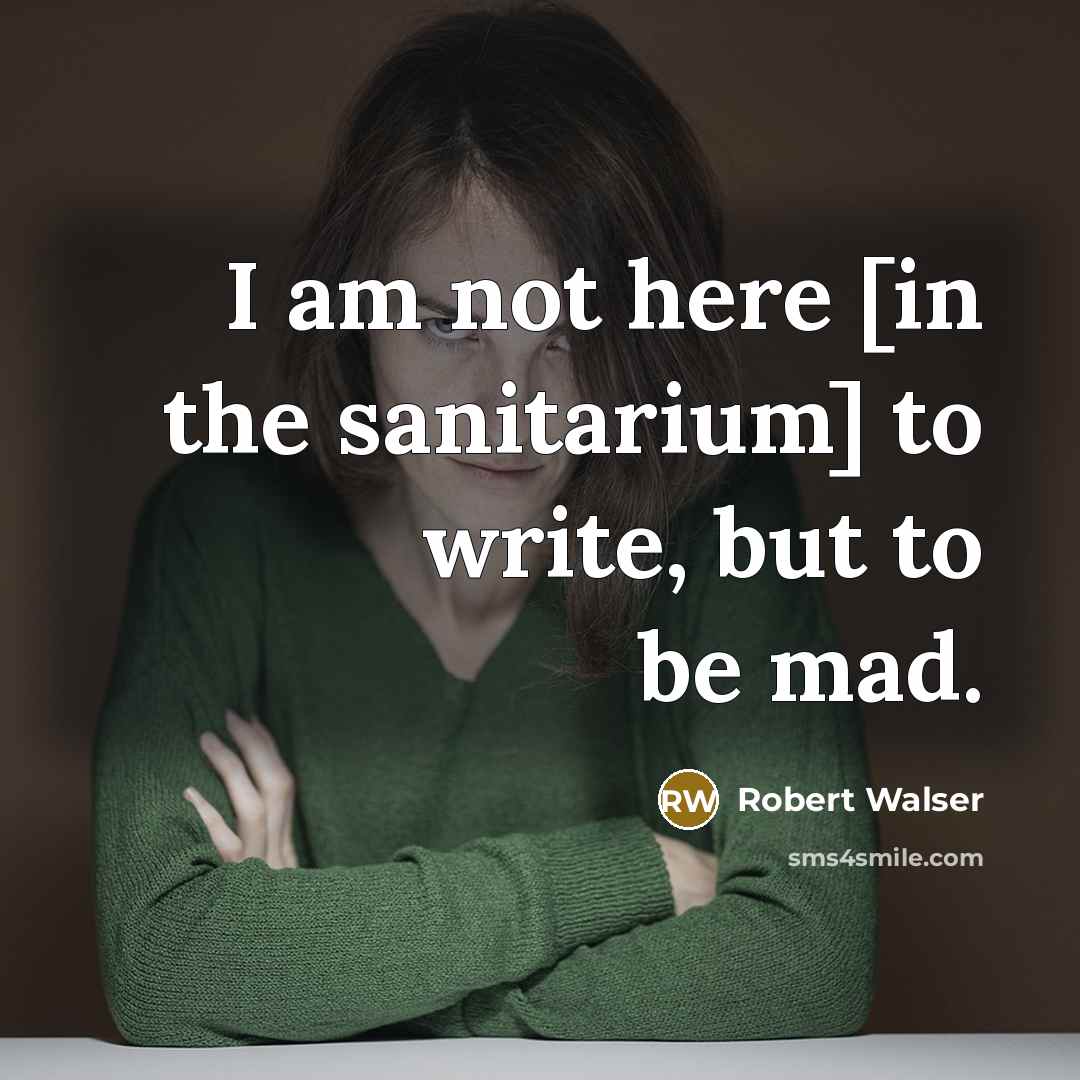 “I am not here [in the sanitarium] to write, but to be mad.” quote by Robert Walser