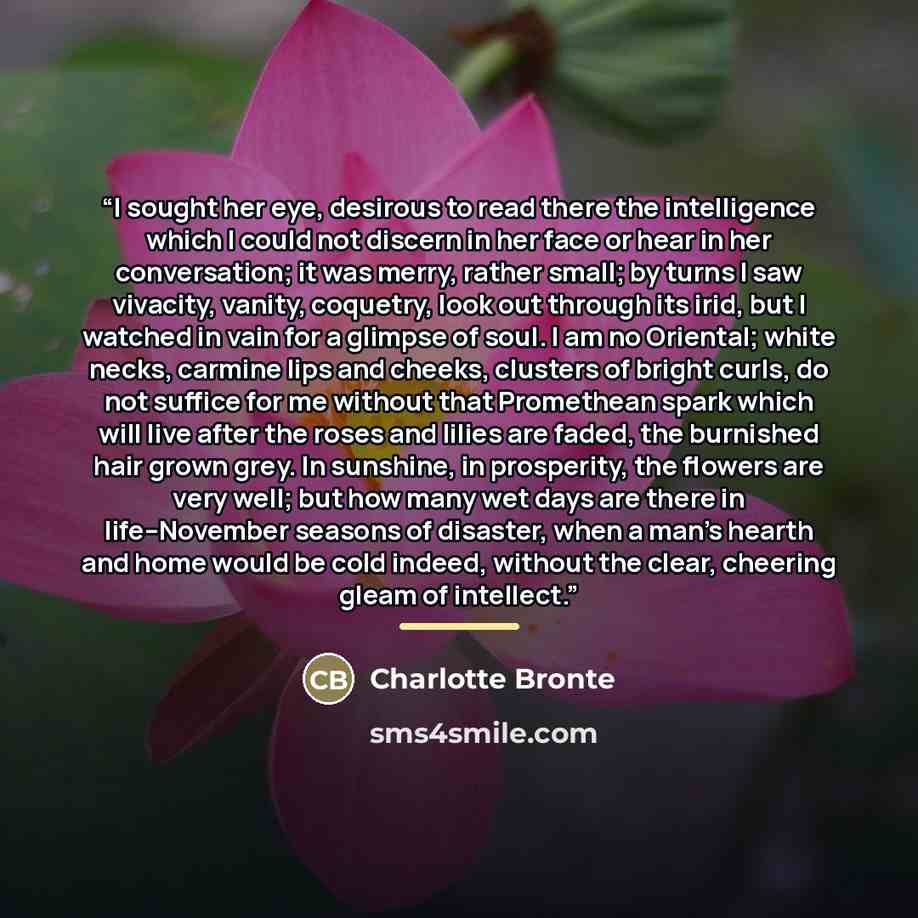 “I sought her eye, desirous to read there the intelligence which I could not discern in her face or hear in her conversation; it was merry, rather small; by turns I saw vivacity, vanity, coquetry, look out through its irid, but I watched in vain for a glimpse of soul. I am no Oriental; white necks…” quote by Charlotte Brontë