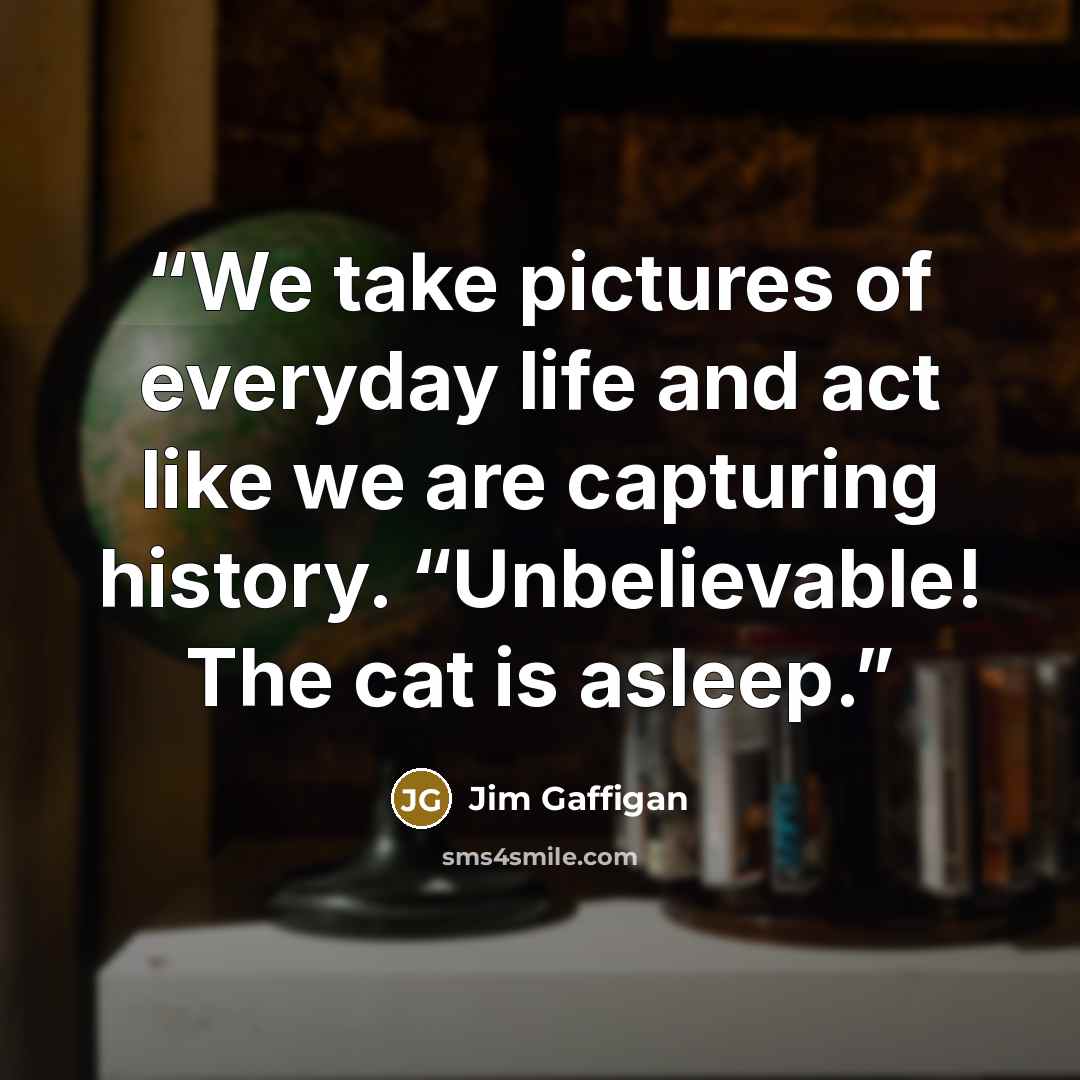 “We take pictures of everyday life and act like we are capturing history. “Unbelievable! The cat is asleep.” quote by Jim Gaffigan
