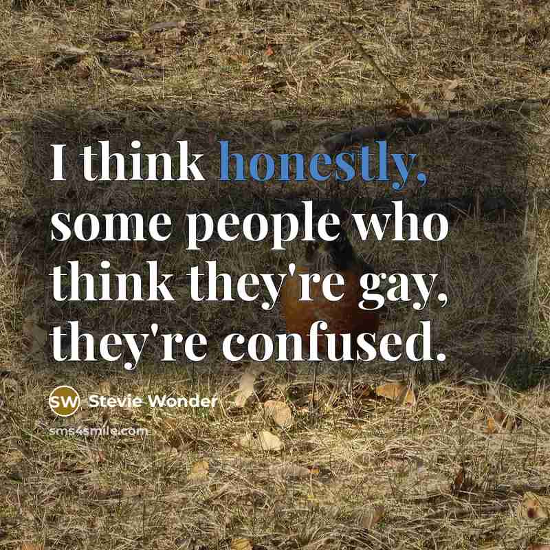 “I think honestly, some people who think they're gay, they're confused.” quote by Stevie Wonder