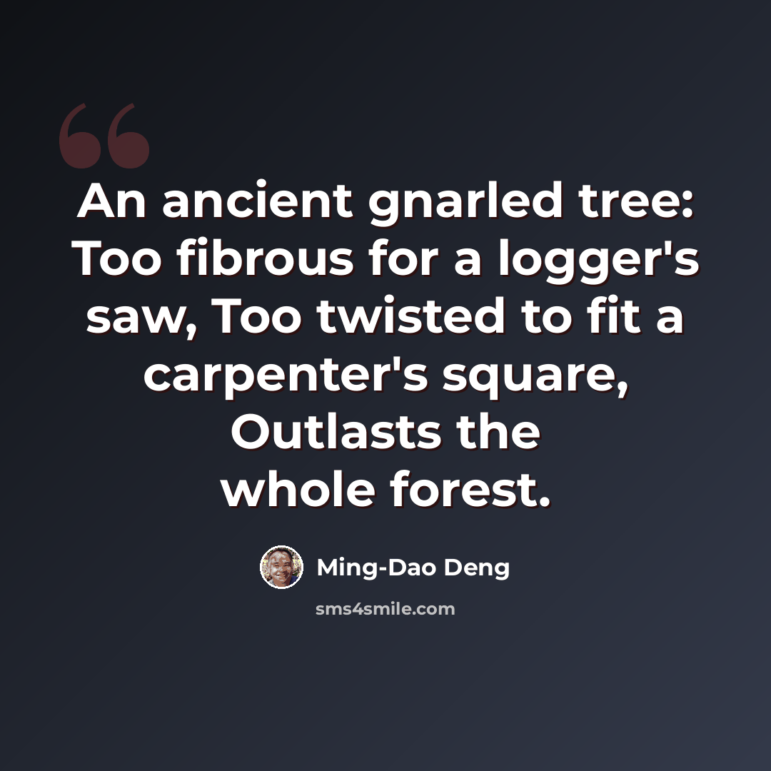 “An ancient gnarled tree: Too fibrous for a logger's saw, Too twisted to fit a carpenter's square, Outlasts the whole forest.” quote by Ming-Dao Deng