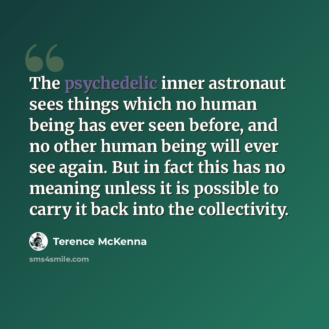 “The psychedelic inner astronaut sees things which no human being has ever seen before, and no other human being will ever see again. But in fact this has no meaning unless it is possible to carry it back into the collectivity.” quote by Terence McKenna