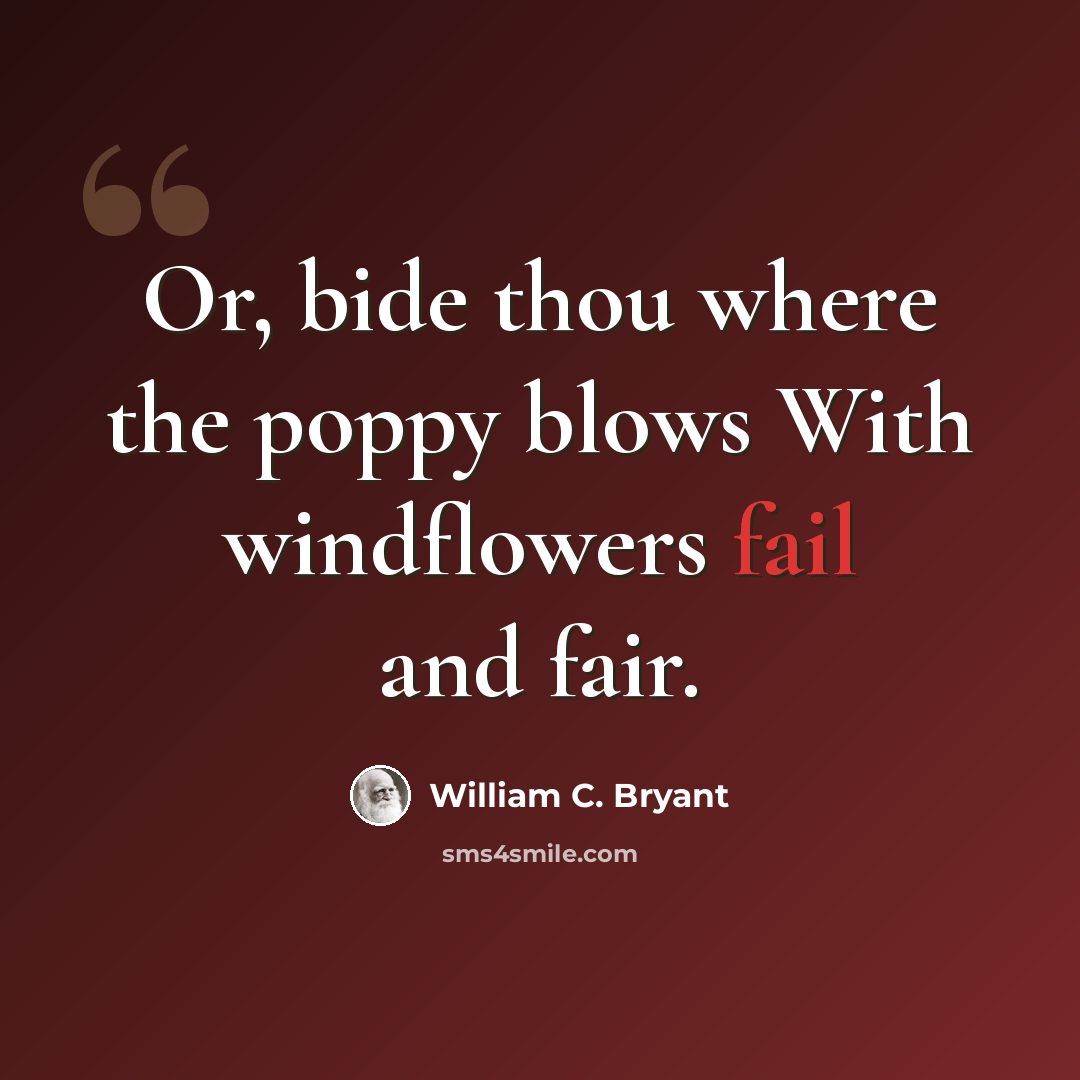 “Or, bide thou where the poppy blows With windflowers fail and fair.” quote by William C. Bryant