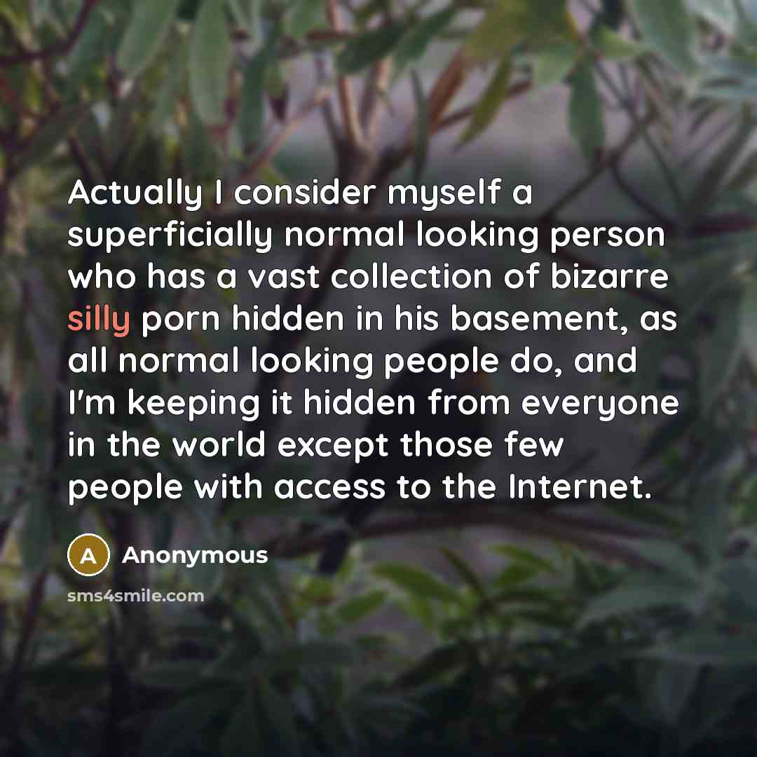 “Actually I consider myself a superficially normal looking person who has a vast collection of bizarre silly porn hidden in his basement, as all normal looking people do, and I'm keeping it hidden from everyone in the world except those few people with access to the Internet.” quote by Anonymous