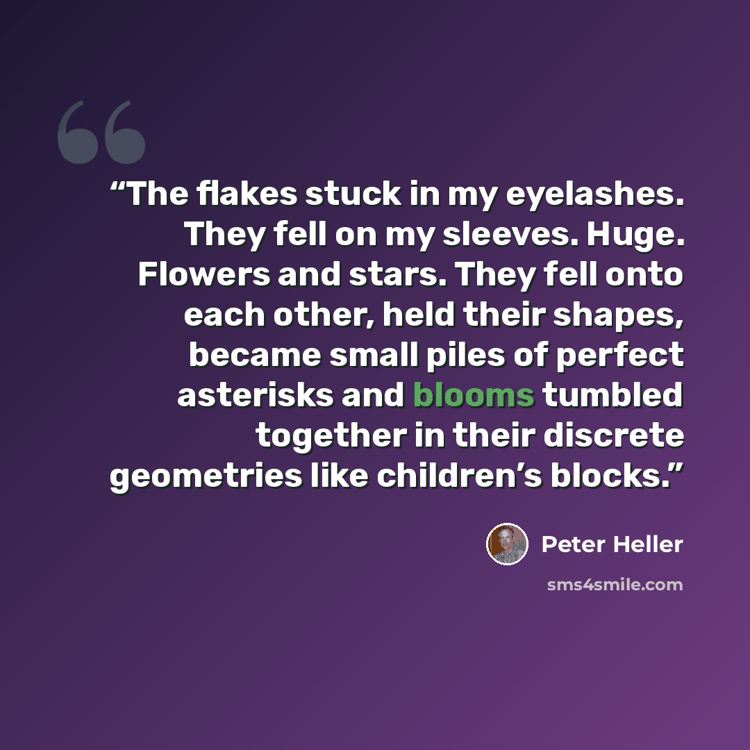 “The flakes stuck in my eyelashes. They fell on my sleeves. Huge. Flowers and stars. They fell onto each other, held their shapes, became small piles of perfect asterisks and blooms tumbled together in their discrete geometries like children’s blocks.” quote by Peter Heller
